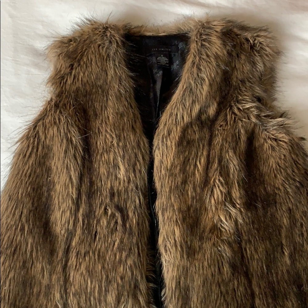 The Limited Faux Fur Vest